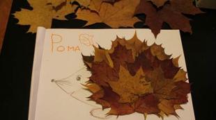 Красивый ёжик из листьев своими руками Осенняя поделка ежик из листьев
