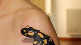 Значение татуировки саламандра