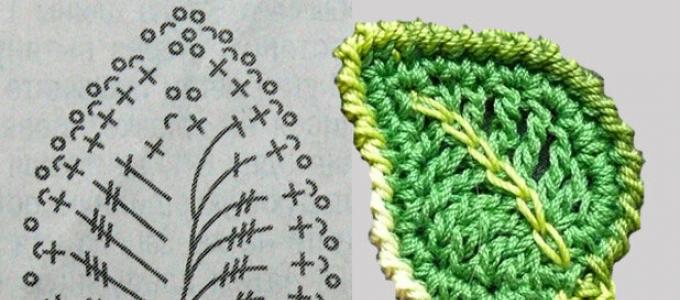 Branche de rowan à faire soi-même: décorations à faire soi-même pour l'intérieur sur le thème de la nature Schéma et description du crochet Rowan