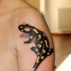 Значение татуировки саламандра